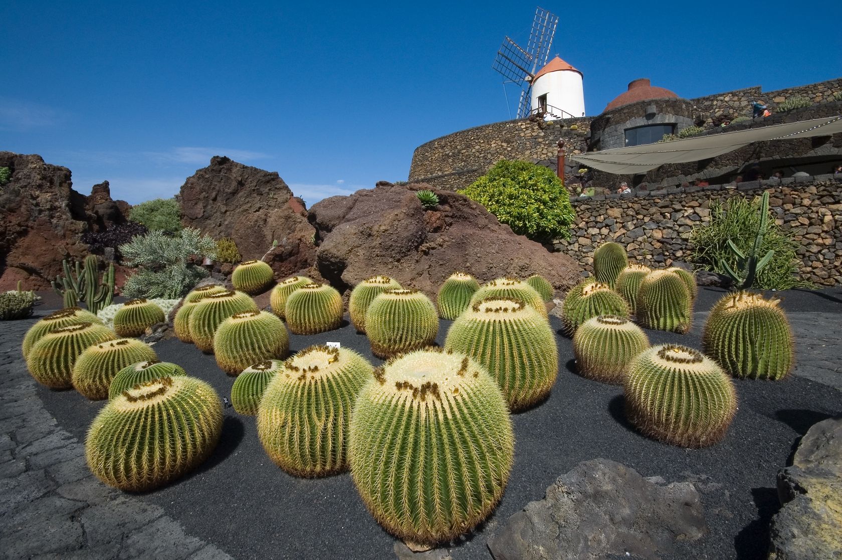 Az IBUSZ szervezésében a pihenni vágyók eljuthatnak a Kanári-szigetekre. Lanzarote 7 csodáján túl minden nap apró meglepetésekkel kényezteti a turistákat.